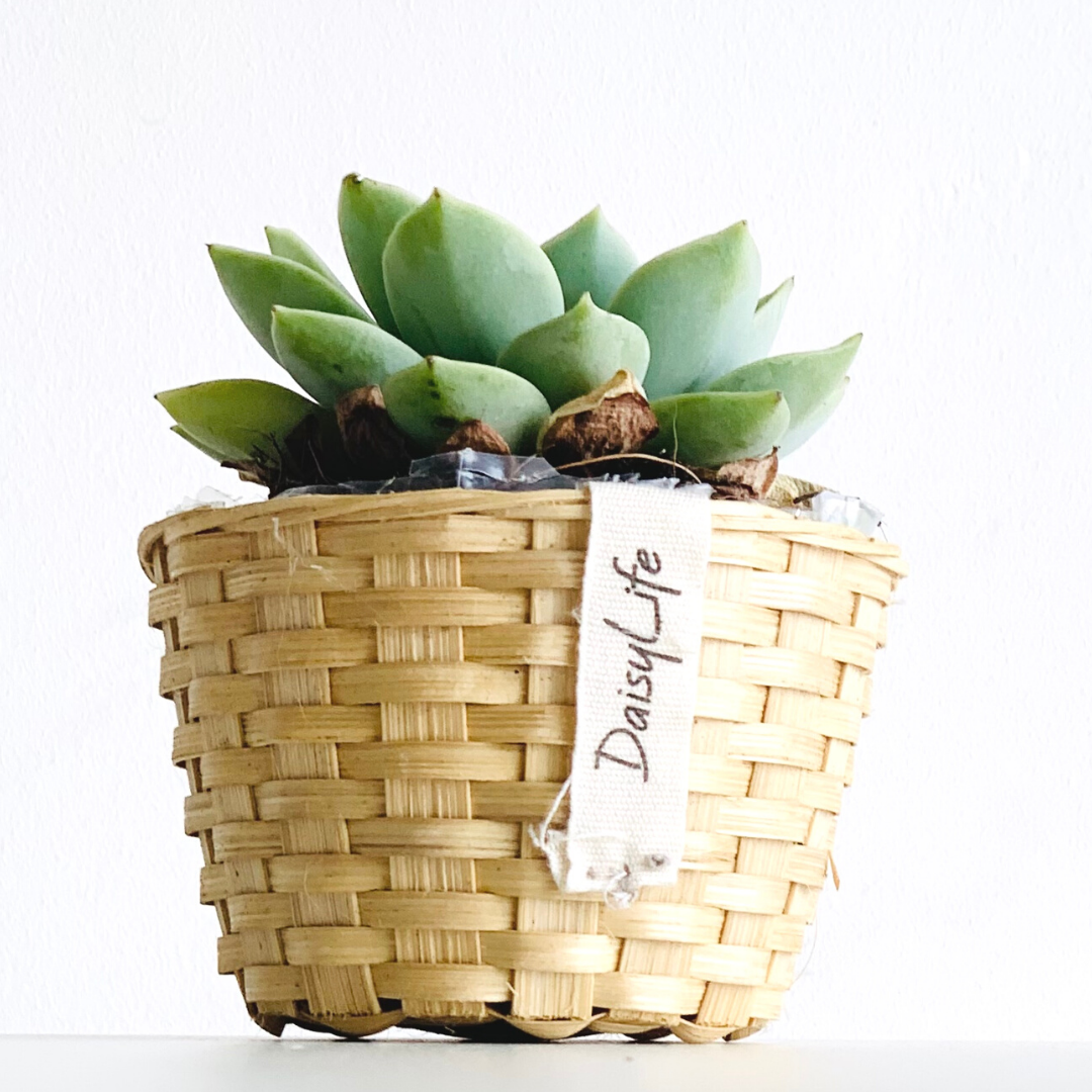 5 inspirations, learnings, resolutions for the journey this year