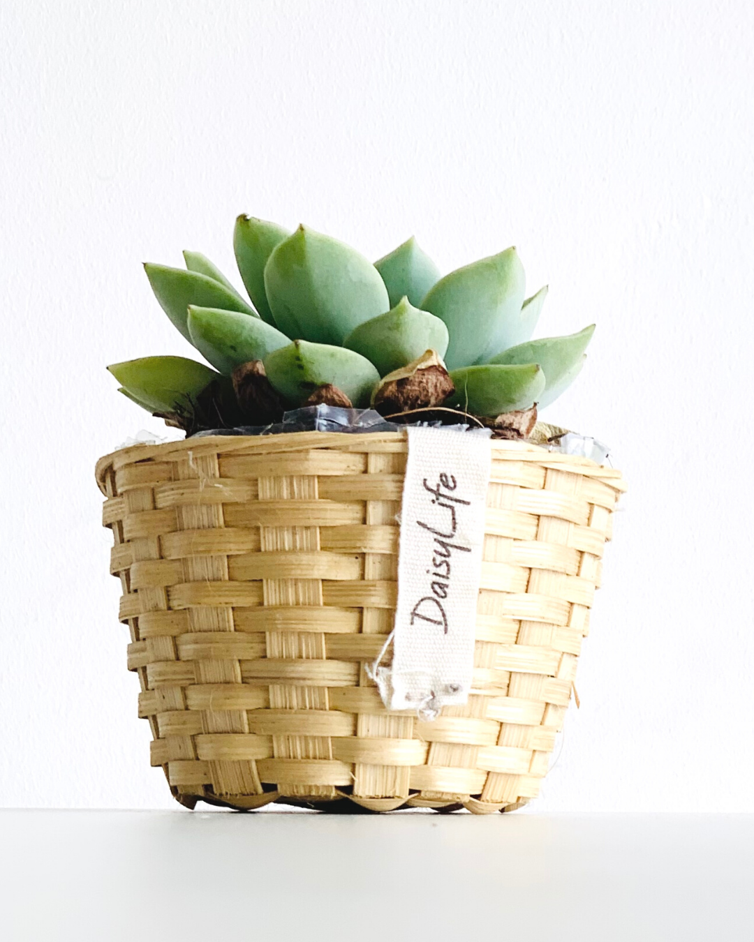 5 inspirations, learnings, resolutions for the journey this year