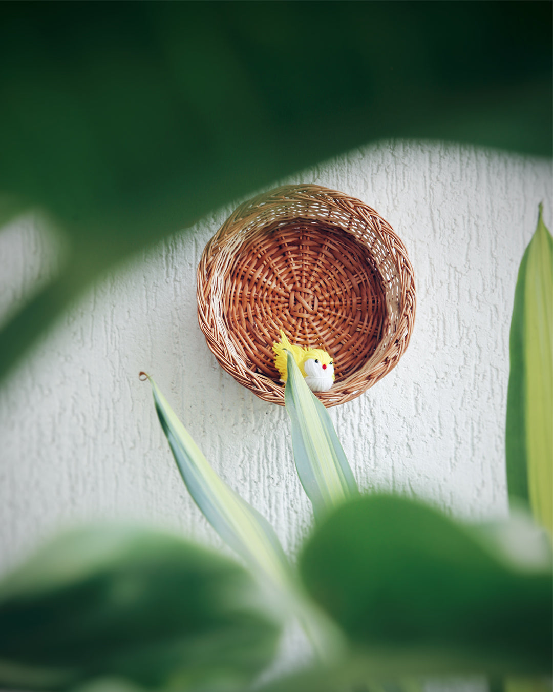 Top looks for Summer Gallery Walls with Baskets