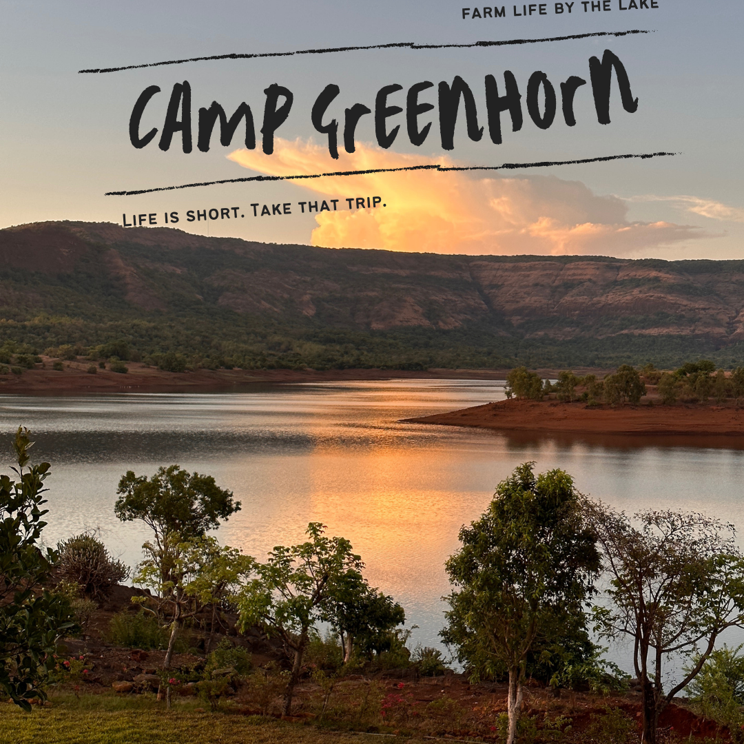 Serenity: Nature’s way of life at Camp Greenhorn
