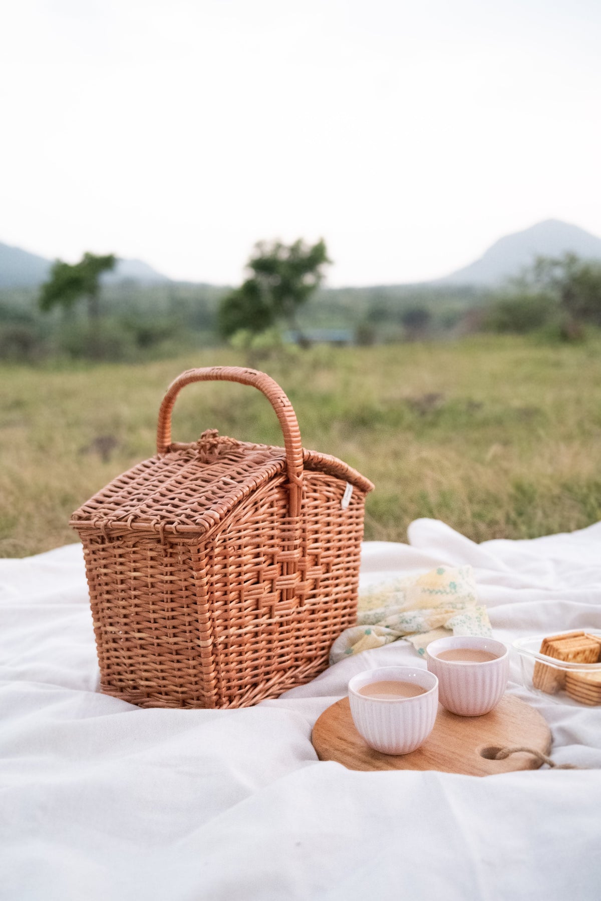 Picnic Day: The DaisyLife Way