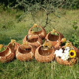 Moon Wicker Basket DaisyLife