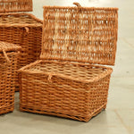 DaisyLife Wicker Tresure Chest