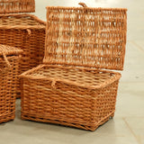 DaisyLife Wicker Tresure Chest