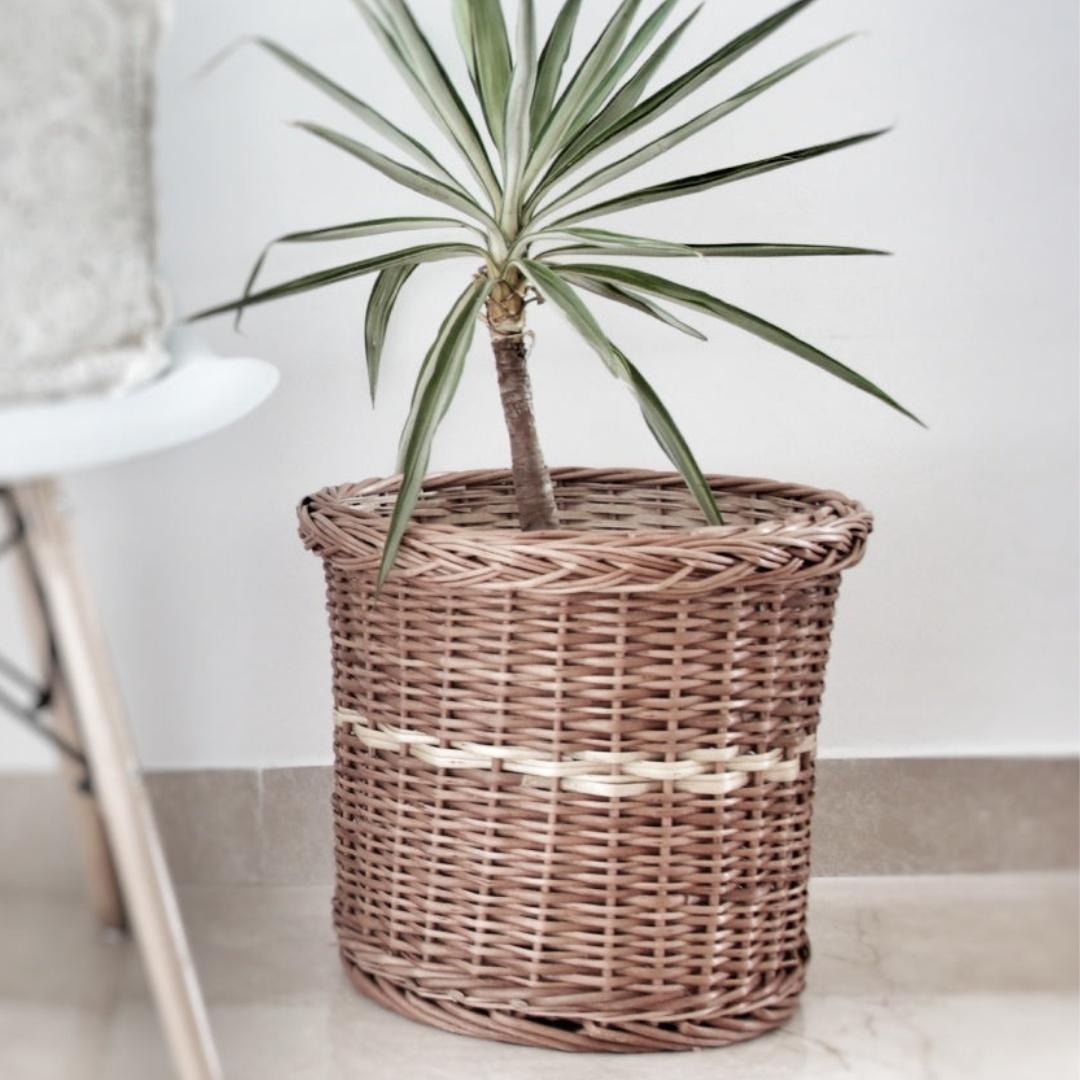Plants inside Warm Wicker Planters.